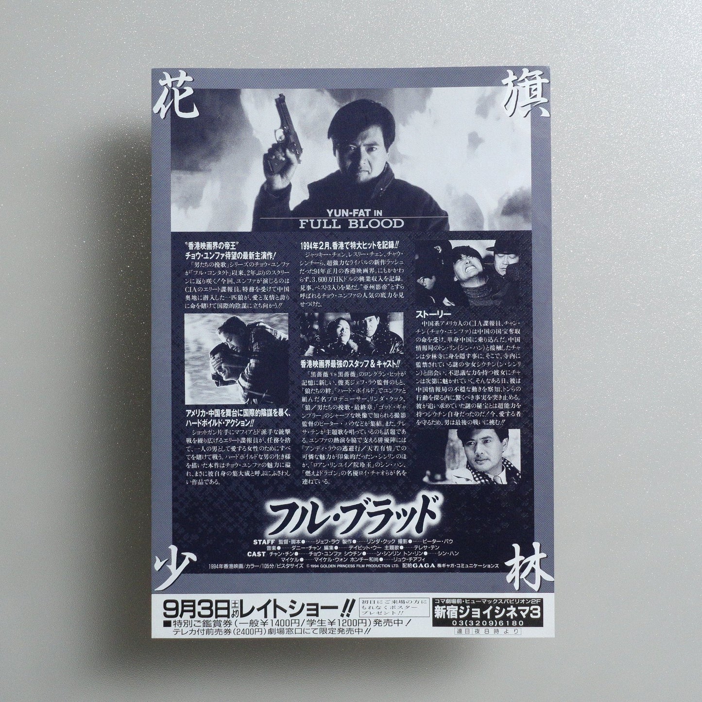 Treasure Hunt : （FULL BLOOD） 1994 Japanese B5 Movie Flyer - reverse