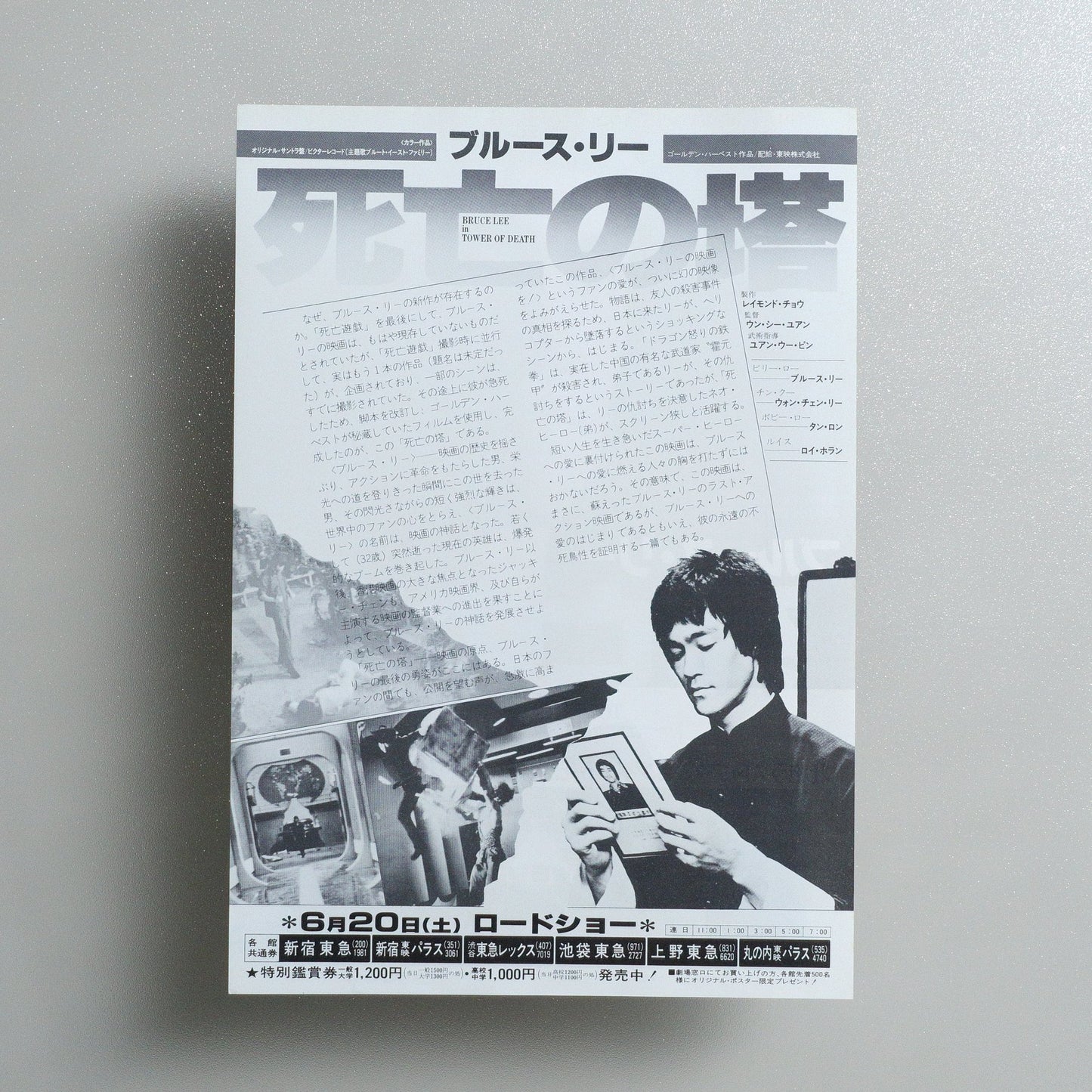 Tower of Death 1981 Japanese B5 Movie Flyer - reverse