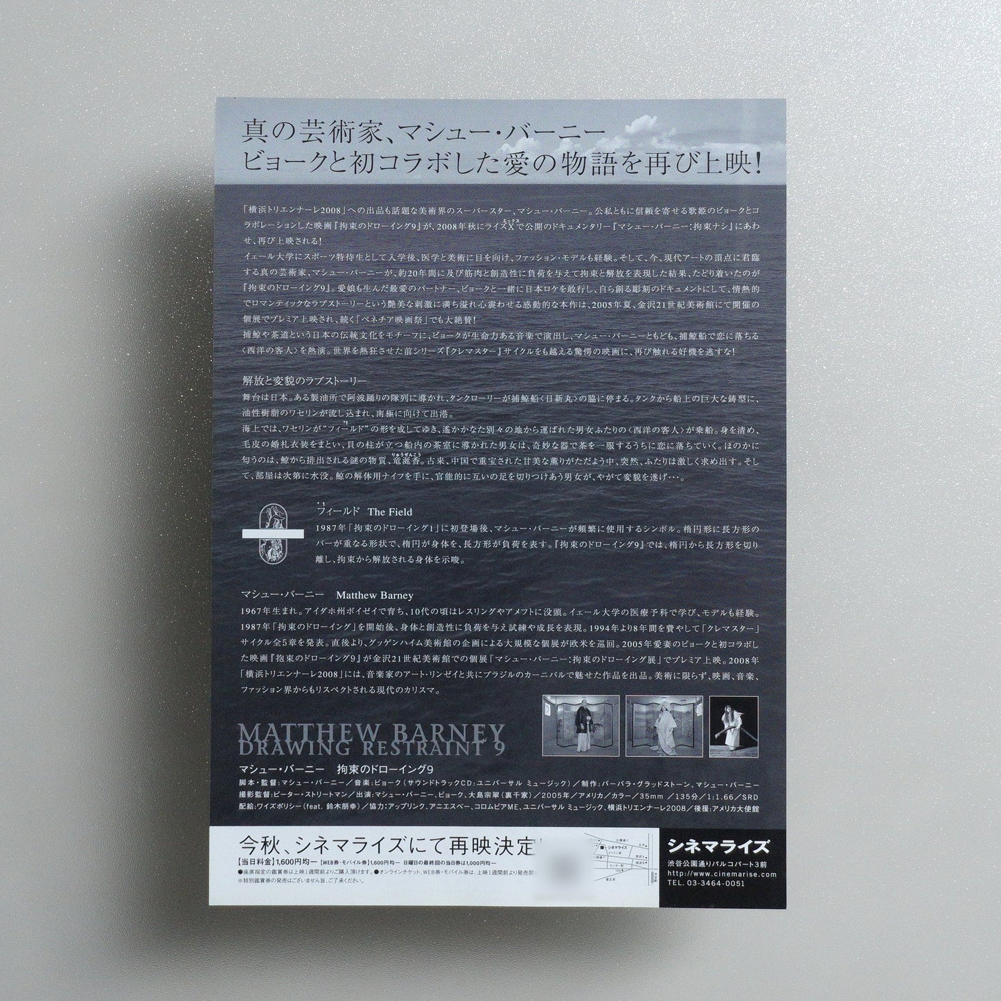Drawing Restraint 9 : 「 9」 2008 Japanese B5 Movie Flyer - reverse