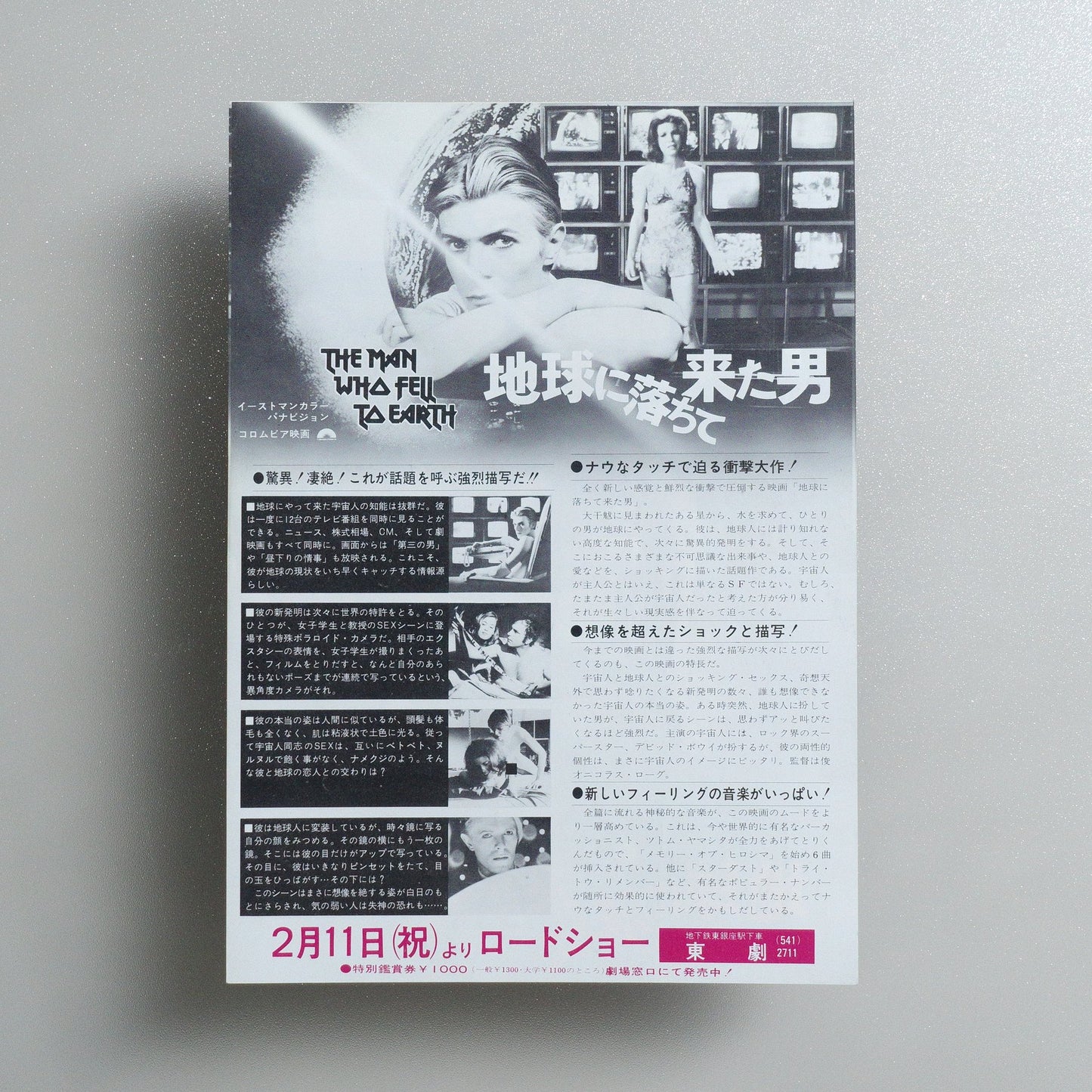 The Man Who Fell to Earth 1977 Japanese B5 Movie Flyer - reverse