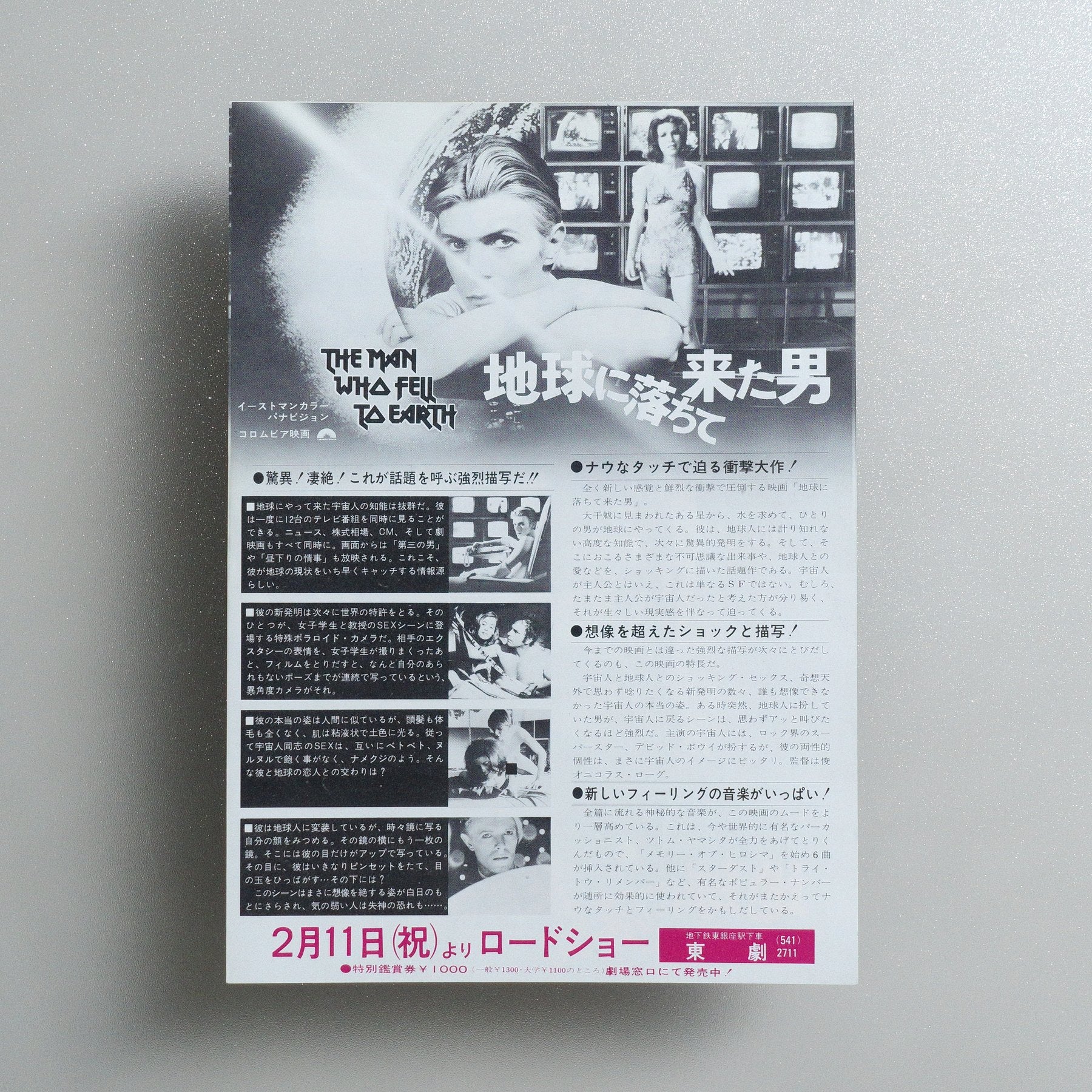 The Man Who Fell to Earth 1977 Japanese B5 Movie Flyer - reverse