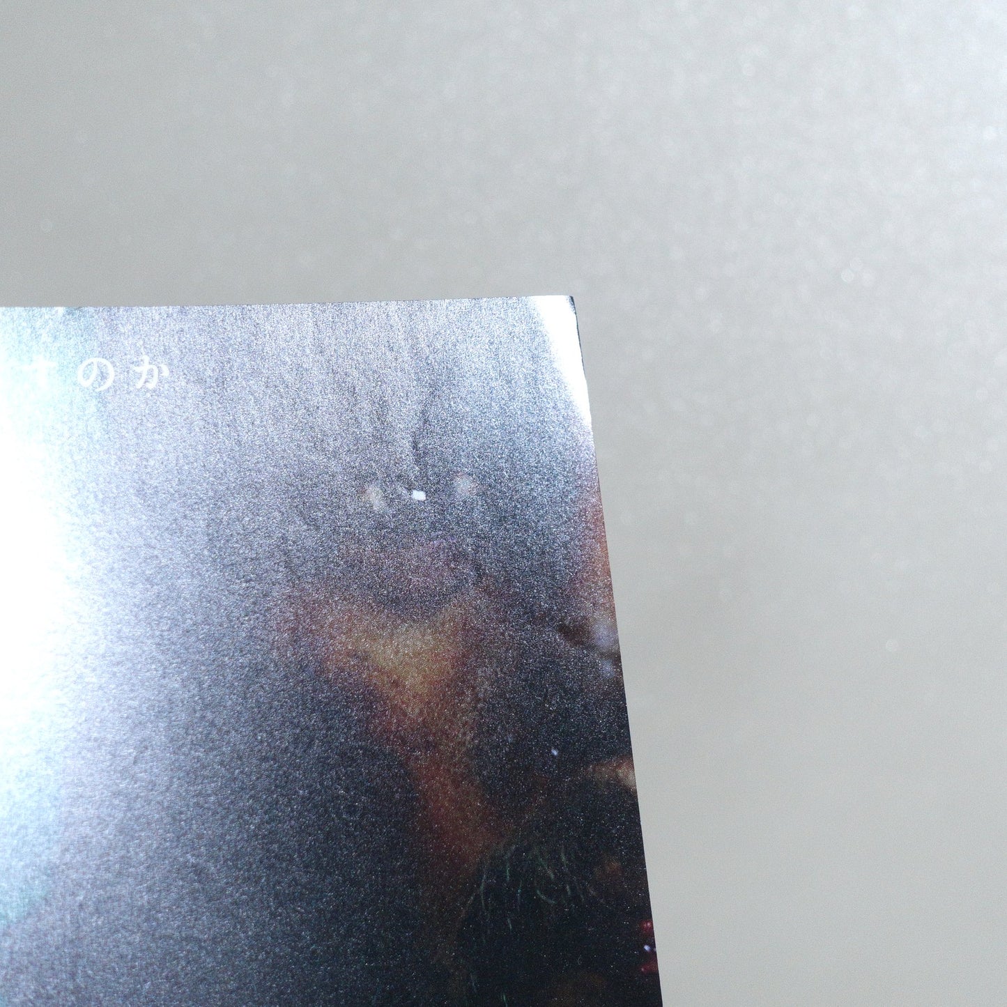 Fires on the Plain 2016 Japanese B5 Movie Flyer - reverse