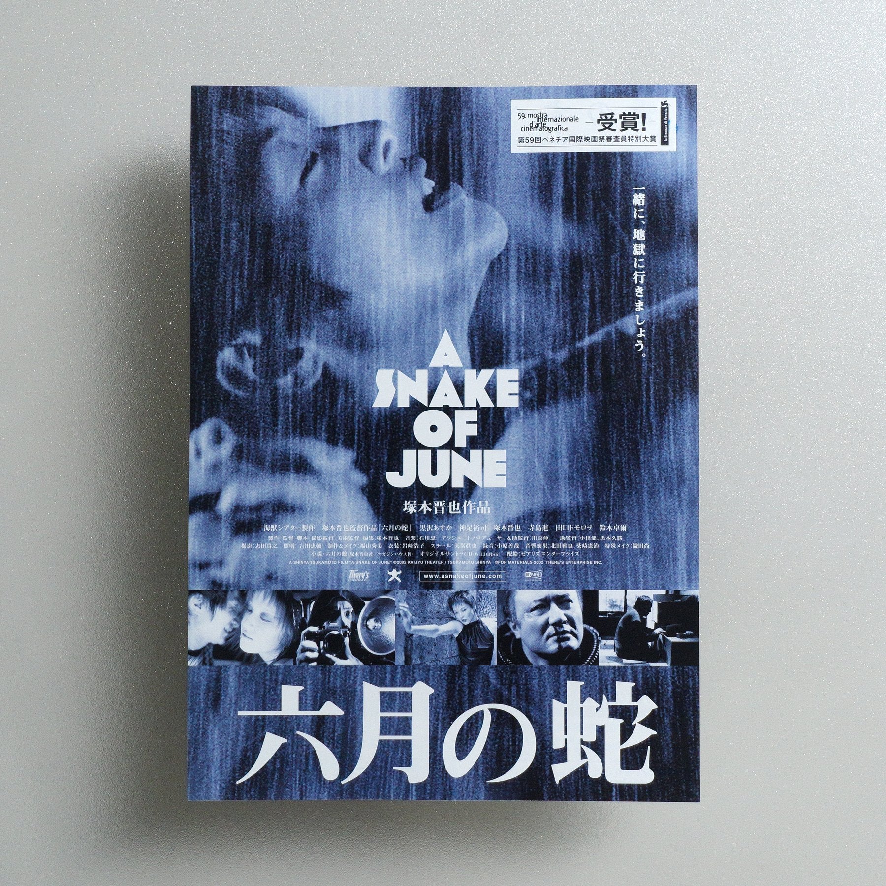 A Snake of June 2003 Japanese B5 Movie Flyer - front