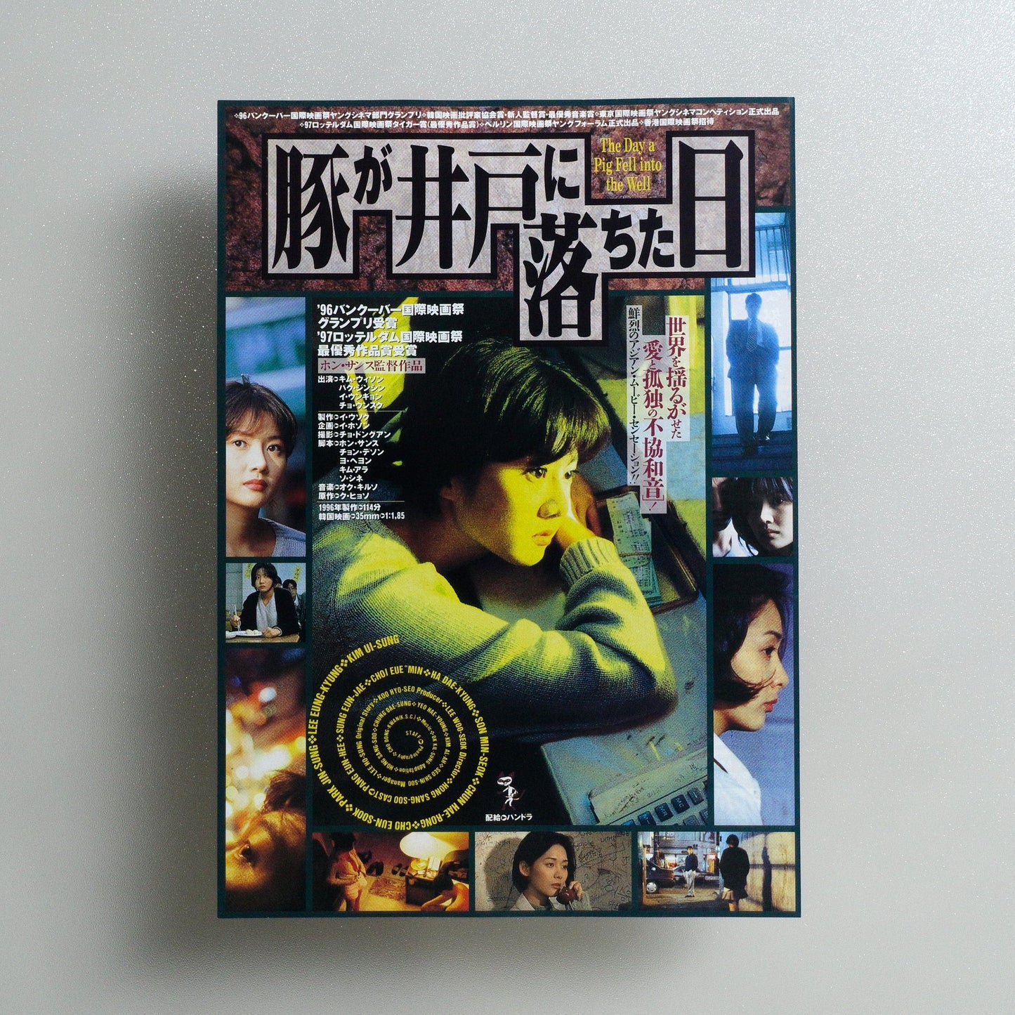 The Day a Pig Fell into the Well 1997 Japanese B5 Movie Flyer - front