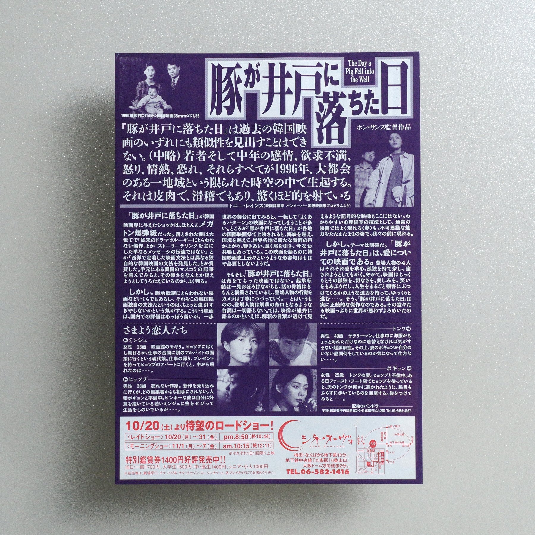 The Day a Pig Fell into the Well 1997 Japanese B5 Movie Flyer - reverse