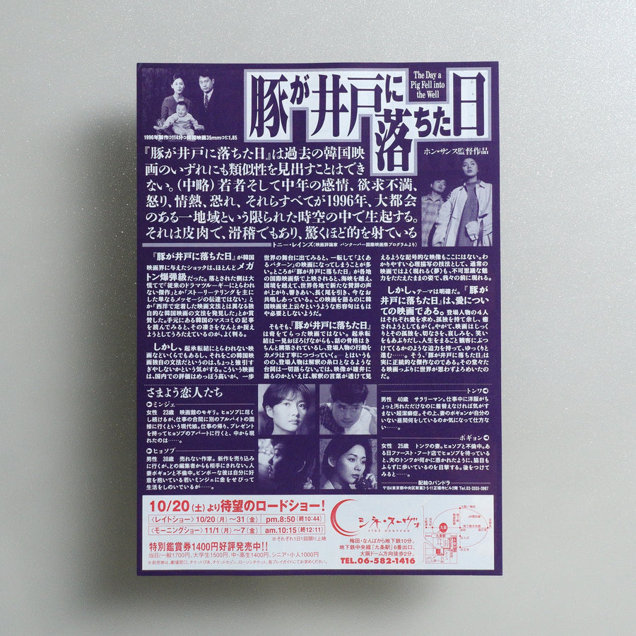 The Day a Pig Fell into the Well 1997 Japanese B5 Movie Flyer - reverse
